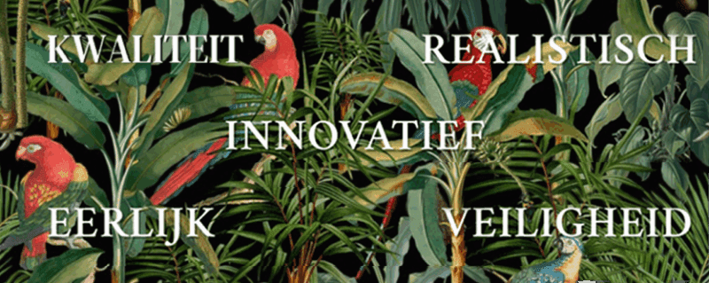 Visie decorative pattern